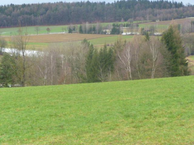 Blockhaus Mit Wlan Bayern Villa Stamsried Eksteriør billede